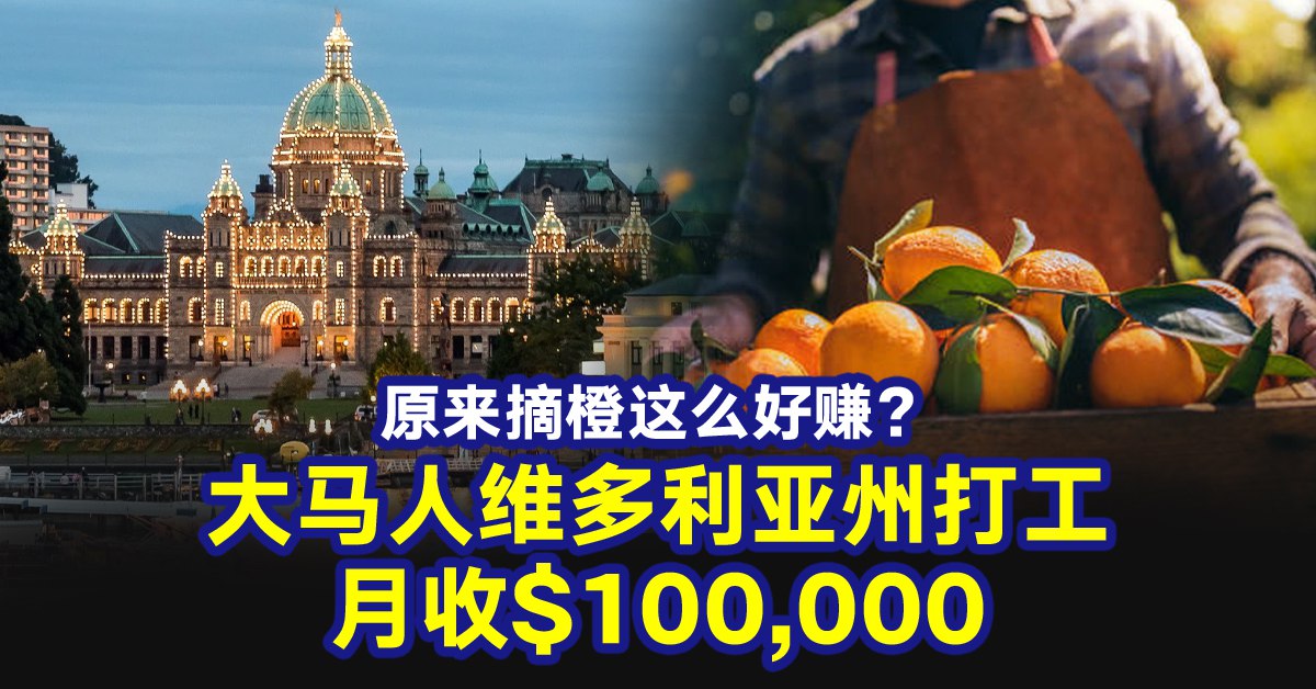 维多利亚州橙子农场